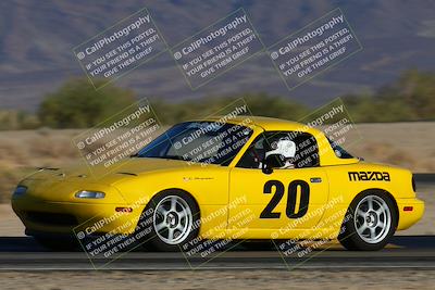 media/Nov-23-2024-Nasa (Sat) [[59fad93144]]/HPDE 1-2/Session 3 Turn 4 Tree of Life/